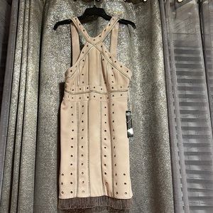 Topshop Limited Edition Fringe Dress
